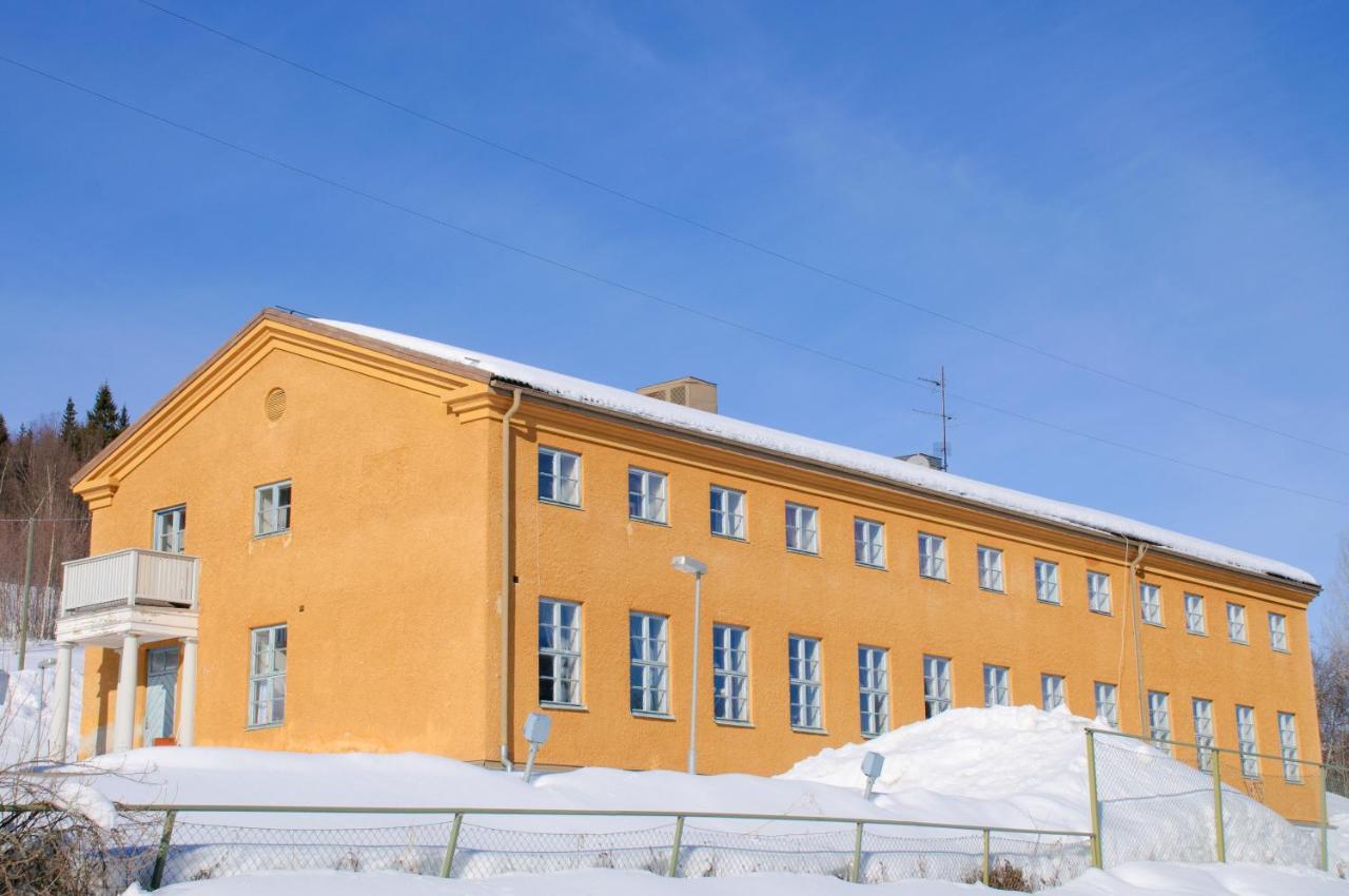 Auberge de jeunesse Aredalens Fjaellgard à Jarpen Extérieur photo