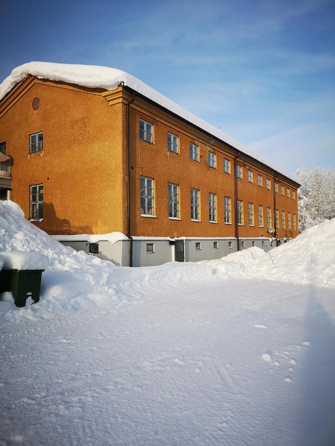 Auberge de jeunesse Aredalens Fjaellgard à Jarpen Extérieur photo